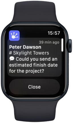 Smartwatch view
